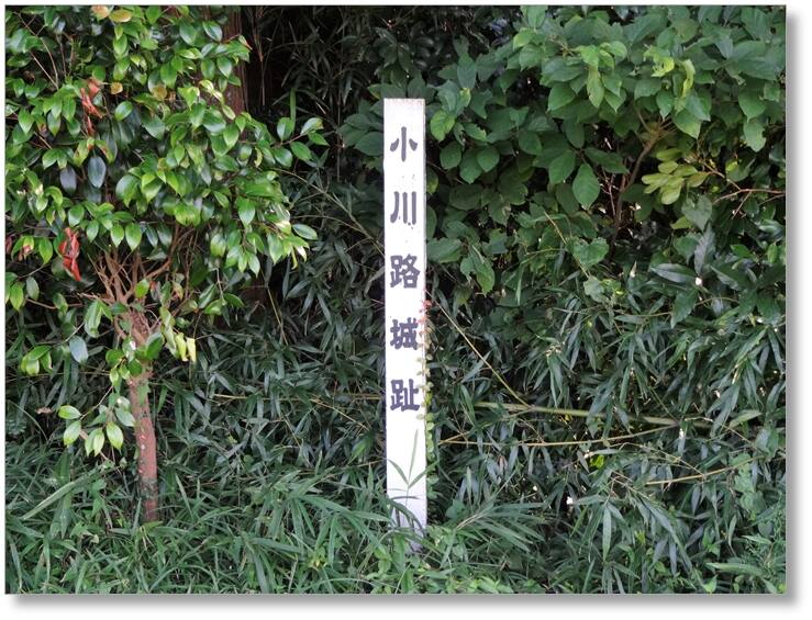 【C-AC092】小川路城跡