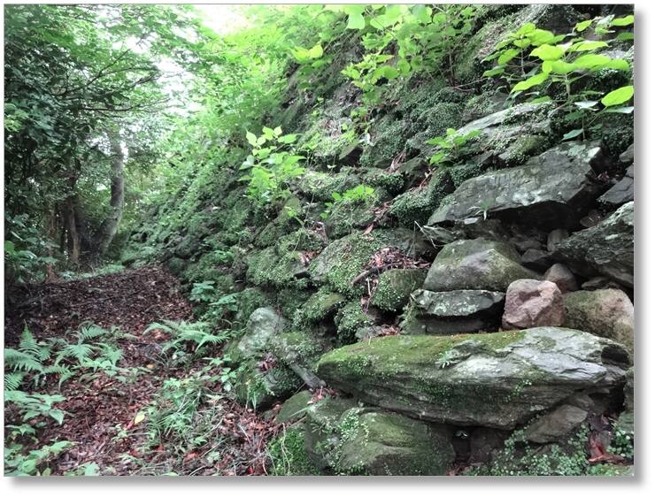 【C-TS001】徳島城跡