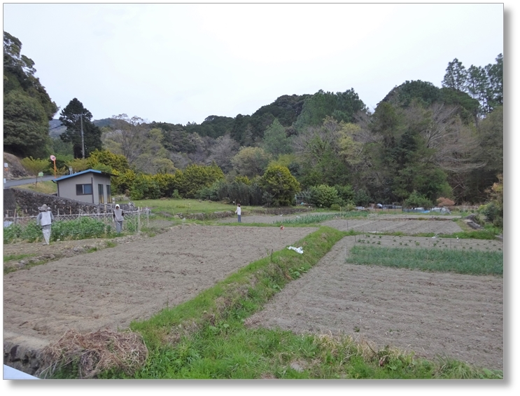 【R-SZ008】井平氏居館跡